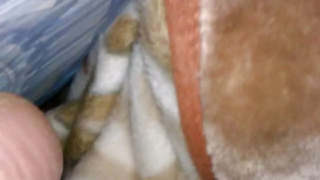 خانه عروسک 8 کانال سوپر شهوانی