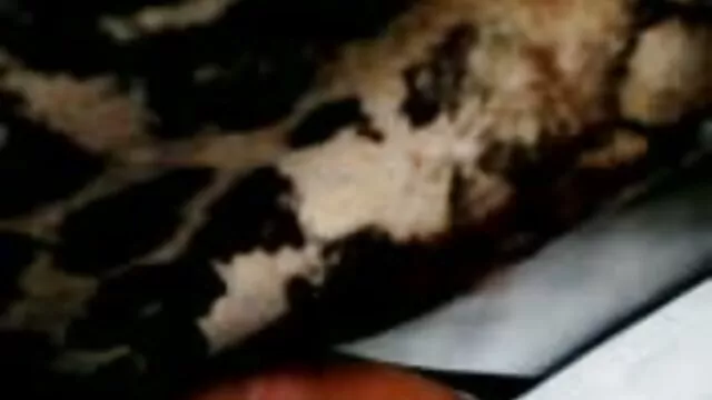 جی 141019 chisa لینک کانال فیلم سوپر سکسی