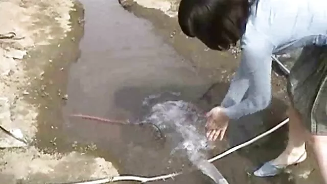 ستاره جوان پورنوگرافی کانال سوپر شهوانی دو تیری در الاغ